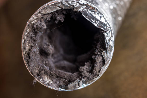 Best Air Vent Cleaning Services  in Burley, WA