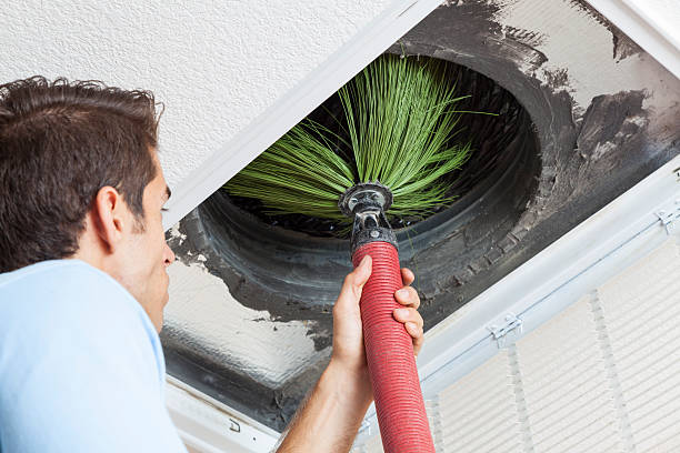 Best Best Air Duct Cleaning Company  in Burley, WA